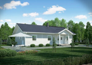 Aarresaari 1